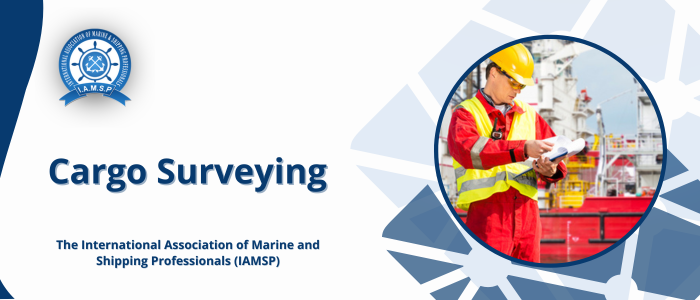 Cargo Surveying