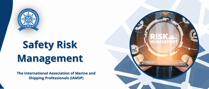 Safety Risk Management